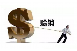 洛阳专业催债公司的市场需求和前景分析